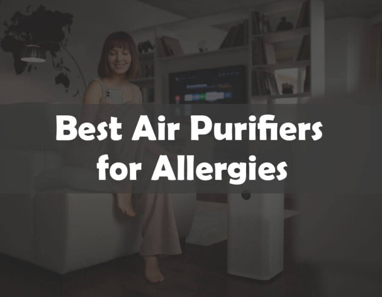 The 10 Best Air Purifiers for Allergies of 2024 (Complete Overview)