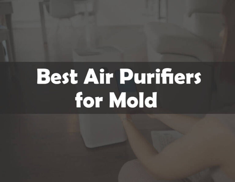 The 10 Best Air Purifiers for Mold of 2024 (Buying Guide)