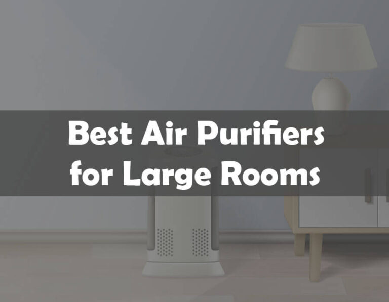 The 10 Best Air Purifiers for Large Rooms of 2025 (Buying Guide)