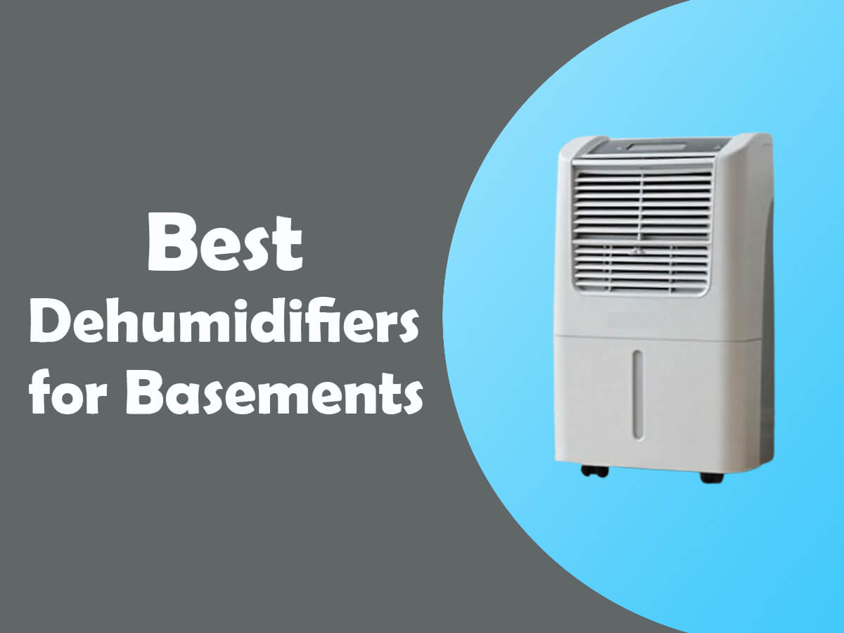 Best dehumidifiers for basements