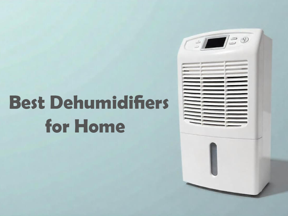 Best dehumidifiers for home