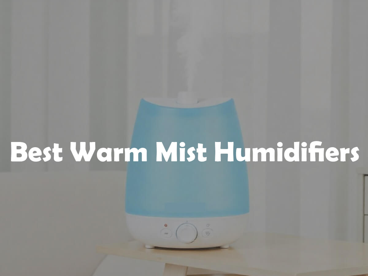 Best warm mist humidifiers