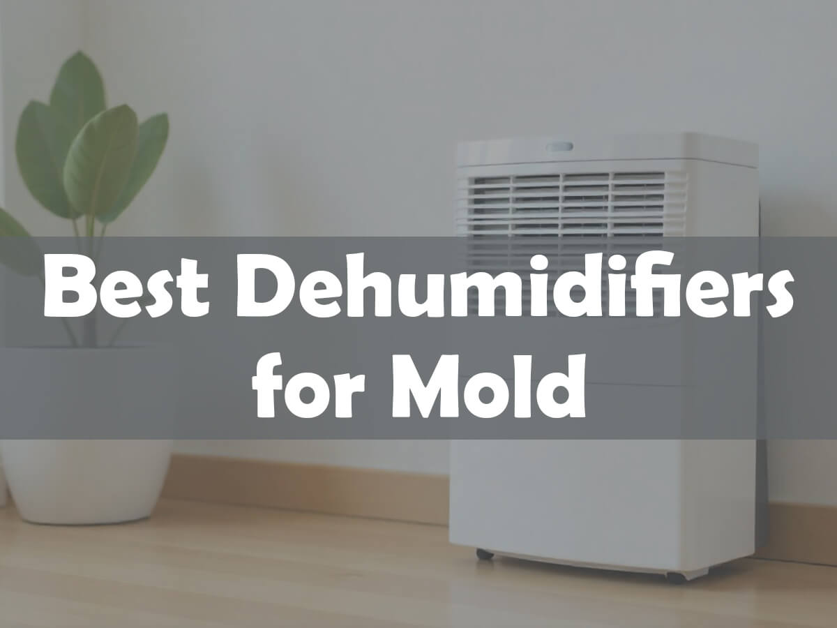 Best dehumidifiers for mold