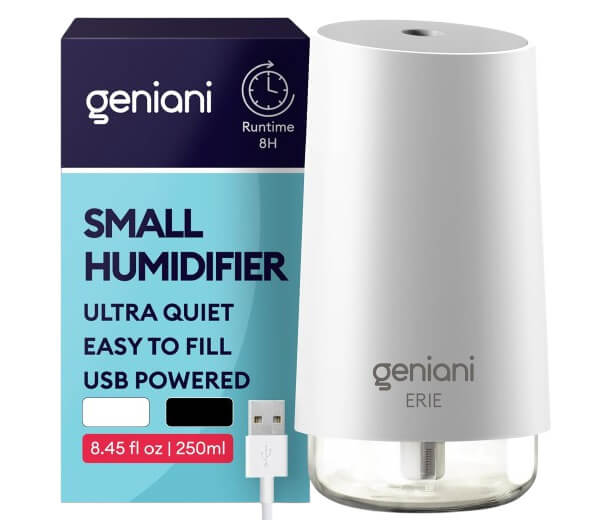 Best humidifiers for office